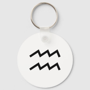 Aquarius Keychain