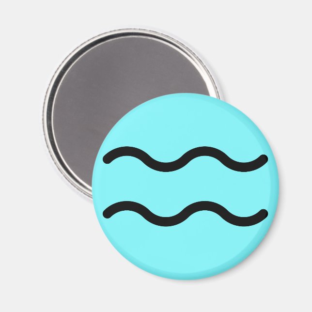 Aquarius Magnet (Front/Back)