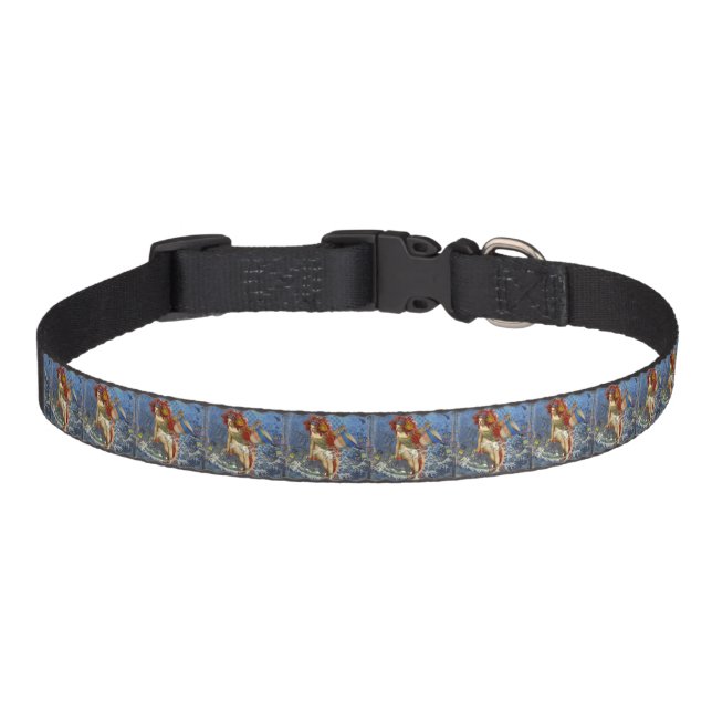 Aquarius Mermaid Gothic Blue Art Pet Collar (Front)