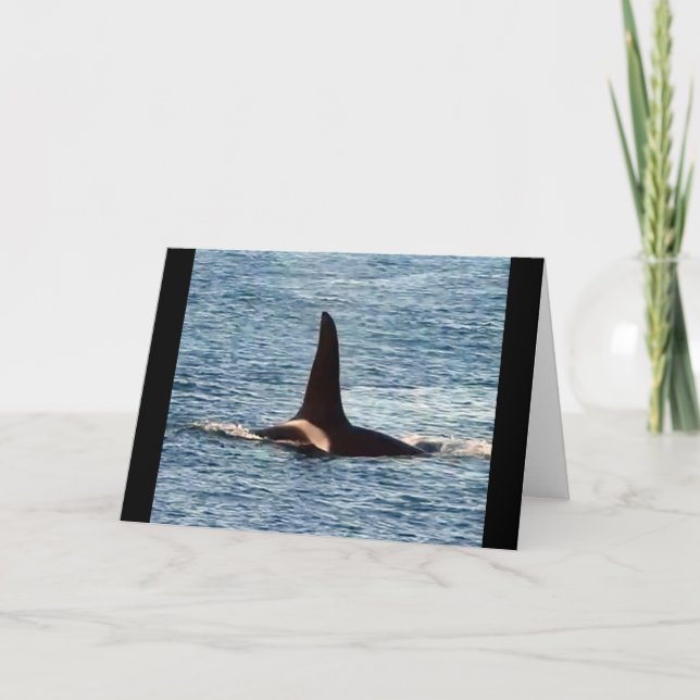 Aquarius Orca Customizable West Coast Killer Whale Card (Front)