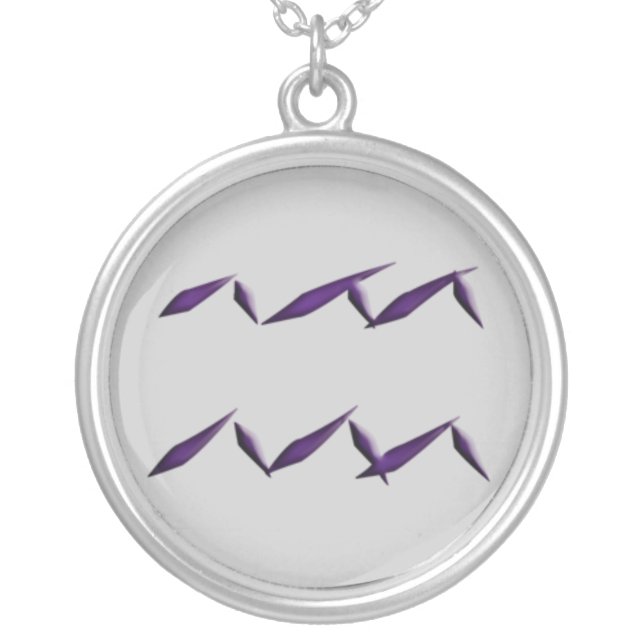 aquarius silver plated necklace (Front)