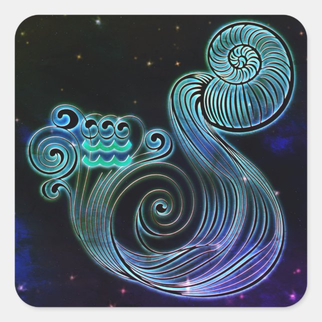 aquarius the water carrier zodiac stickers (Front)
