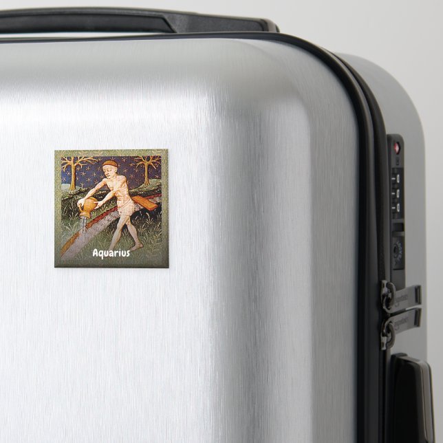 Aquarius Water Bearer Zodiac Sign Birthday Party Magnet (In Situ (Luggage))
