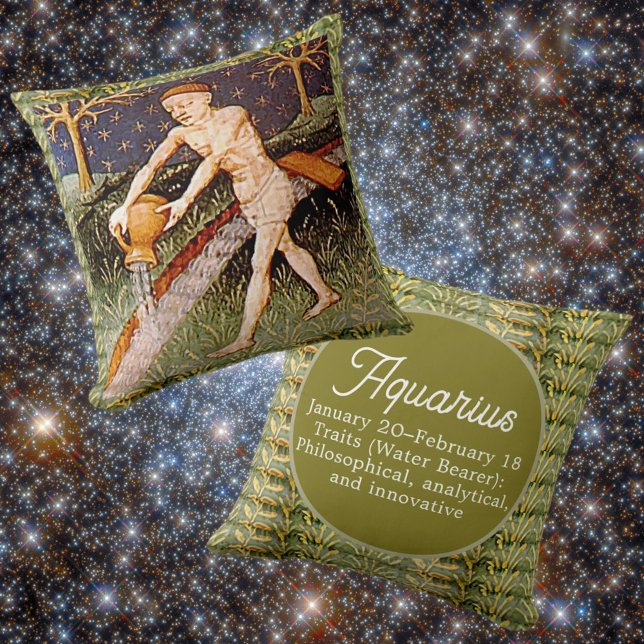 Aquarius Water Bearer Zodiac Sign Birthday Party Throw Pillow (Creator Uploaded)