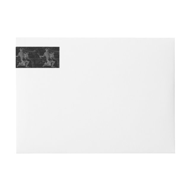 Aquarius Zodiac Constellation Engraving Hevelius Wrap Around Label (Front)
