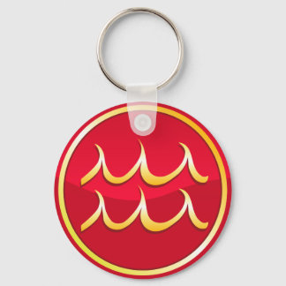 Aquarius - Zodiac Signs Keychain