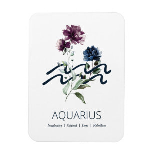 Aquarius Zodiac Star Sign Magnet