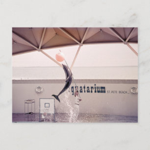 Aquatarium St. Pete Beach Florida Postcard