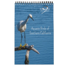 Aquatic Birds of Southern California by Kelly Nine