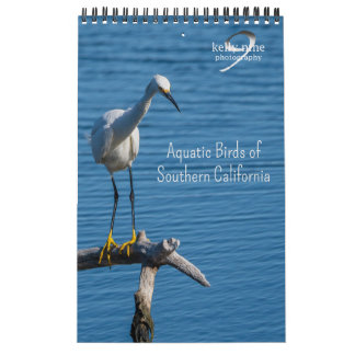 Aquatic Birds of Southern California by Kelly Nine Calendar