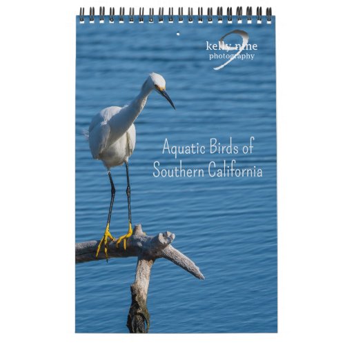 Aquatic Birds of Southern California by Kelly Nine Calendar