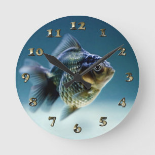 Aquatic Fish Carassius Round Clock