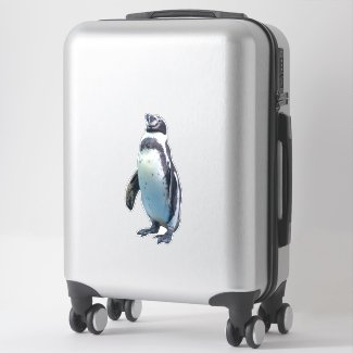 Aquatic flightless bird Penguin