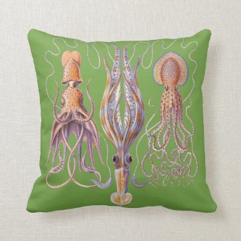 Aquatic Life  Haeckel Octopus Cushions by OldArtReborn at Zazzle