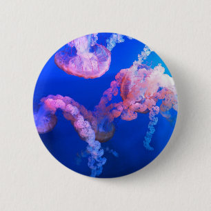 Aquatic Nautical Photos Marine Animal Photography Button