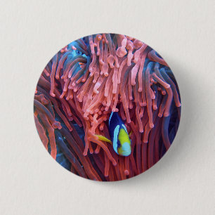 Aquatic Nautical Photos Marine Animal Photography Button