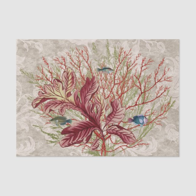Aquatic Red Coral Seaweed Fish Tissue Paper (Front)