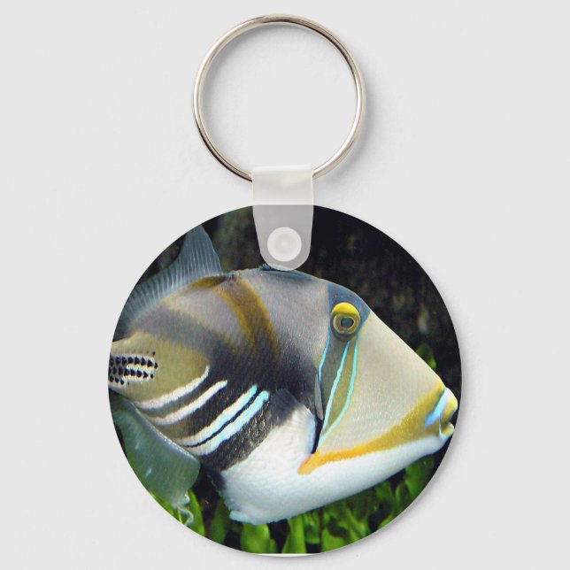 aquatic scenes trigger fish keychain (Front)