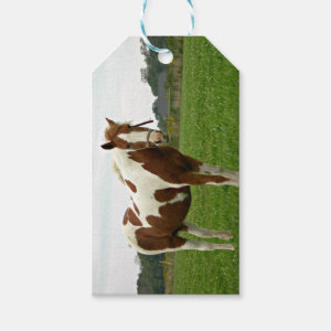 Aquebogue Painted Horse Gift Tags