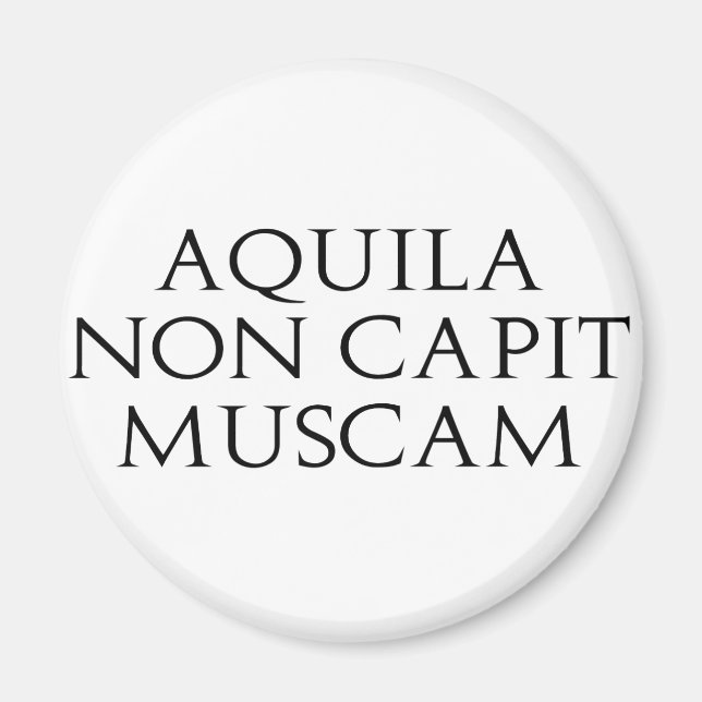 Aquila Non Capit Muscam Magnet (Front)