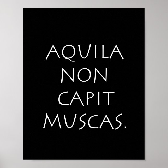 Aquila non capit muscas poster (Front)