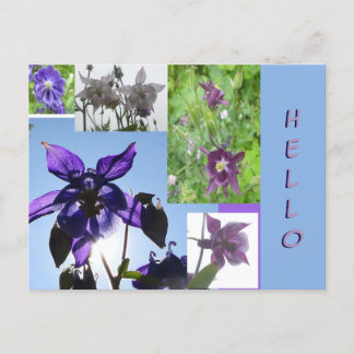 Aquilegia Collage Cust. Text & BG HELLO Postcard