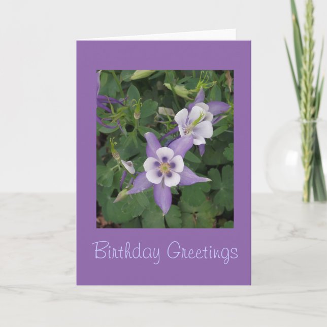 Aquilegia - Columbine Flower Birthday Card (Front)