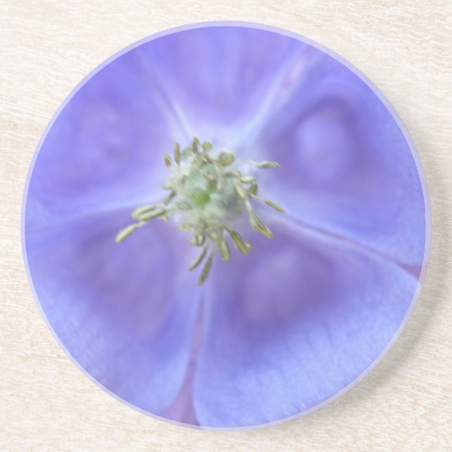 Aquilegia Flower Coasters (Front)