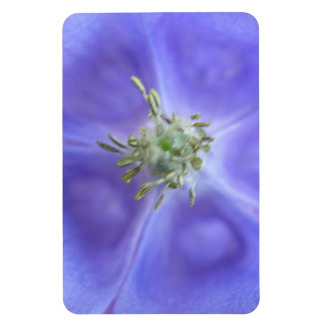 Aquilegia Flower Premium Magnet (Vertical)