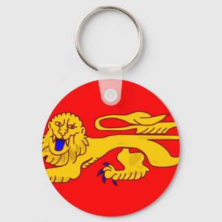 Aquitaine, France flag Keychain