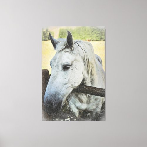  AR22 White Horse over Fence Equine Canvas Print