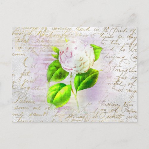  AR23 Floral Old Handwriting Vintage Romantic Postcard