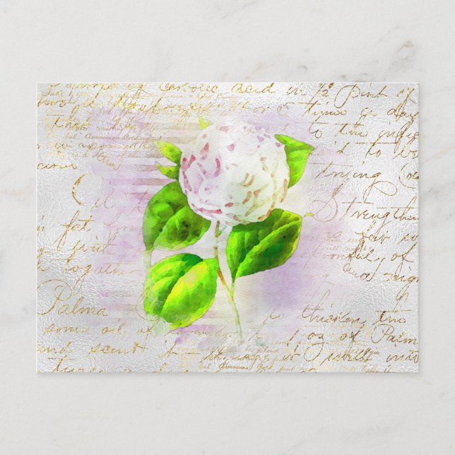 ** AR23 Floral Old Handwriting Vintage Romantic Postcard (Front)