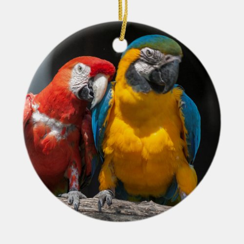 ara ararauna parrot on its perch christmas ornamen ceramic ornament