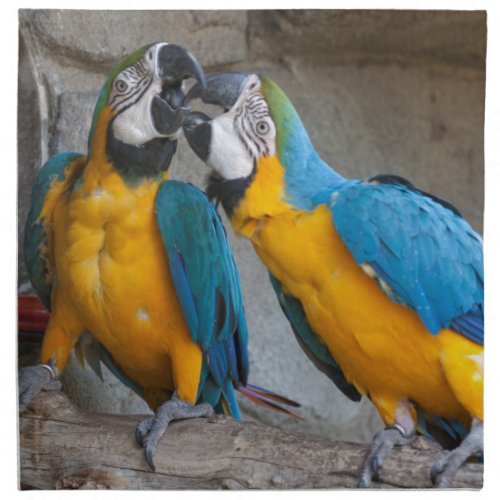 ara ararauna parrot on its perch cloth napkin