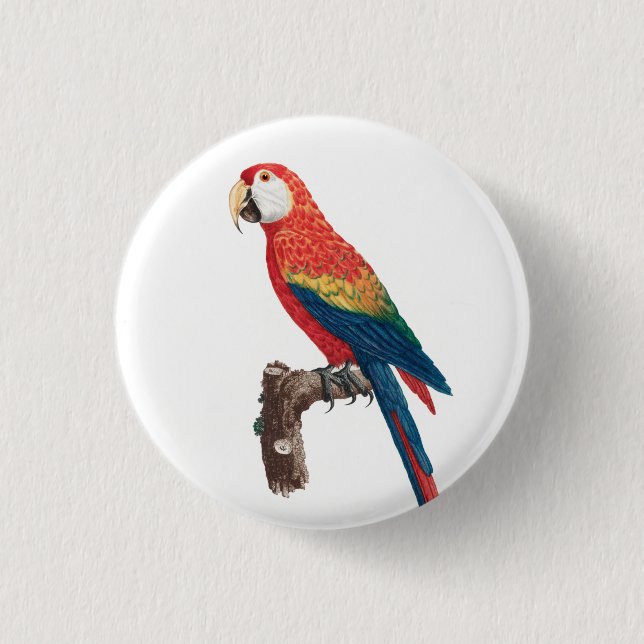 Ara Canga Parrot Button (Front)