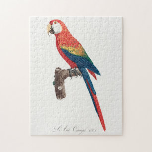 Ara Canga Parrot Jigsaw Puzzle