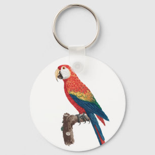 Ara Canga Parrot Keychain