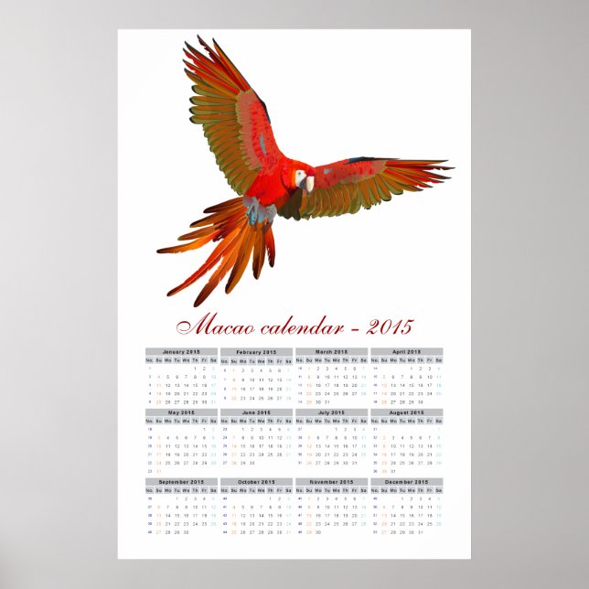 Ara macao parrot calendar 2015 poster (Front)
