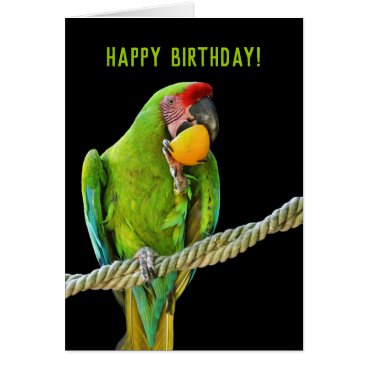 Ara Militaris Green Parrot Ara Militaris Green Parrot