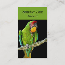 Ara Militaris Green Parrot
