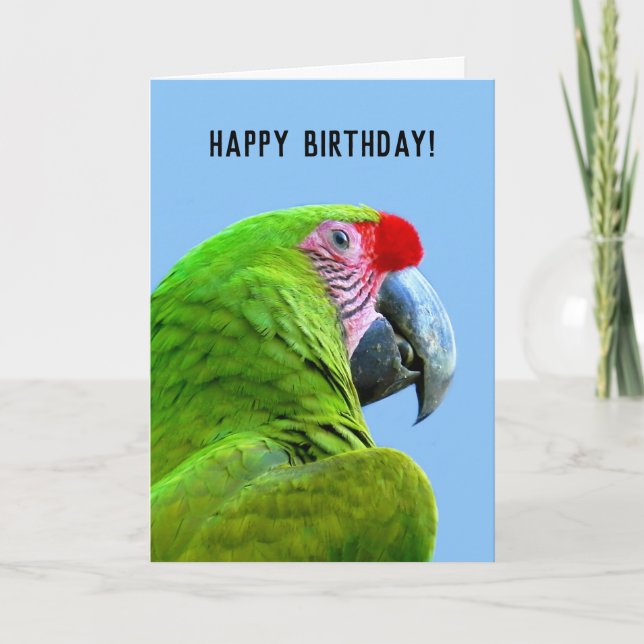 Ara Militaris Green Parrot Card (Front)