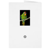 Ara Militaris Green Parrot Cards (Back)
