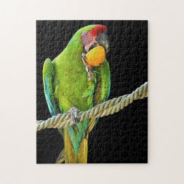 Ara Militaris Green Parrot Jigsaw Puzzle Ara Militaris Green Parrot Jigsaw Puzzle