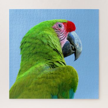 Ara Militaris Green Parrot Jigsaw Puzzle Ara Militaris Green Parrot Jigsaw Puzzle