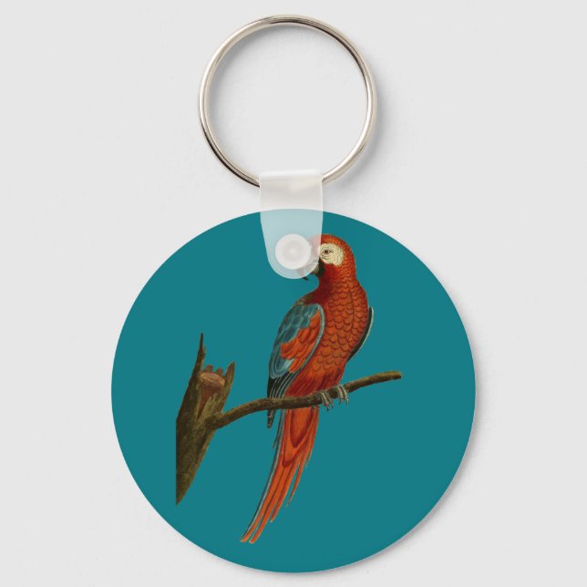 Ara red parrot keychain (Front)