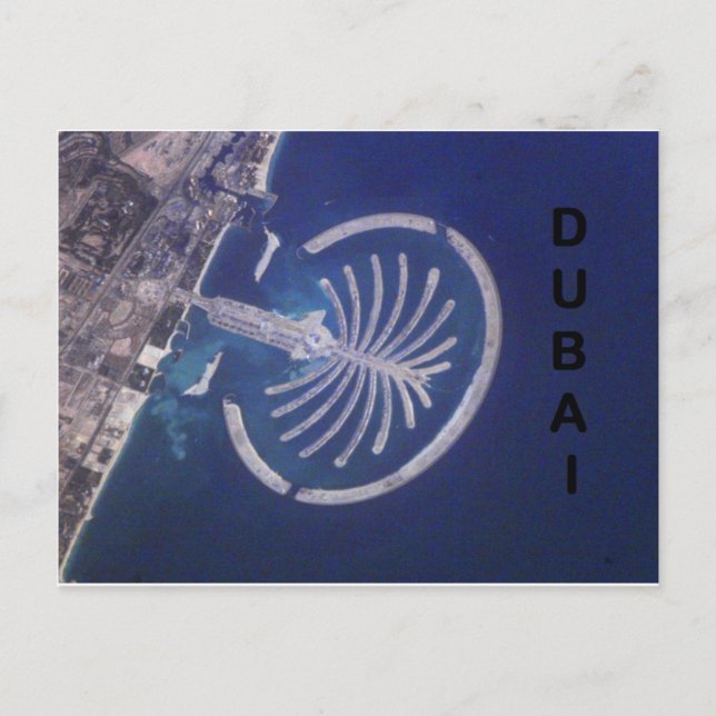 Arab Emirates Dubai Palm-Island Resort (St.K) Postcard (Front)