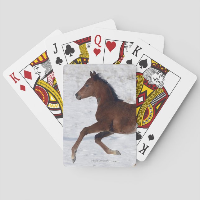 Arab Foal in the Snow Poker Cards (Back)