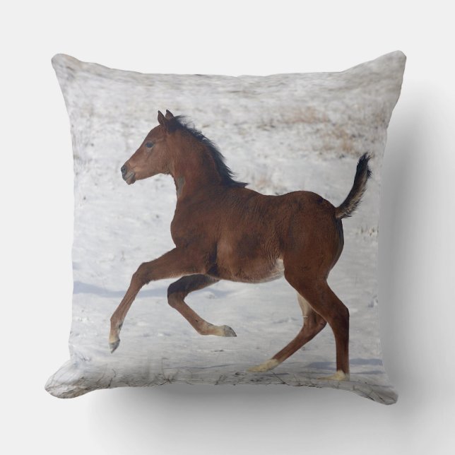 Arab Foal in the Snow Throw Pillow (Front)