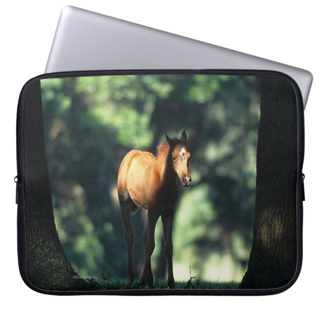 Arab Foal in the Trees Laptop Sleeve (Front)